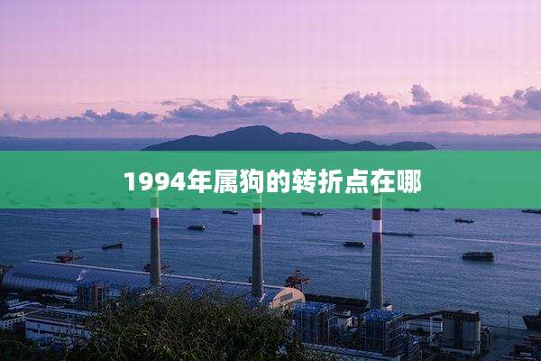 1994年属狗的转折点在哪