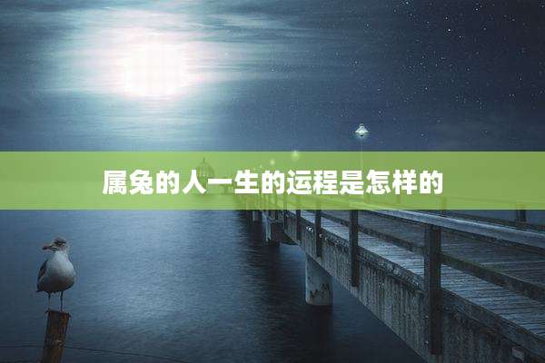 属兔的人一生的运程是怎样的