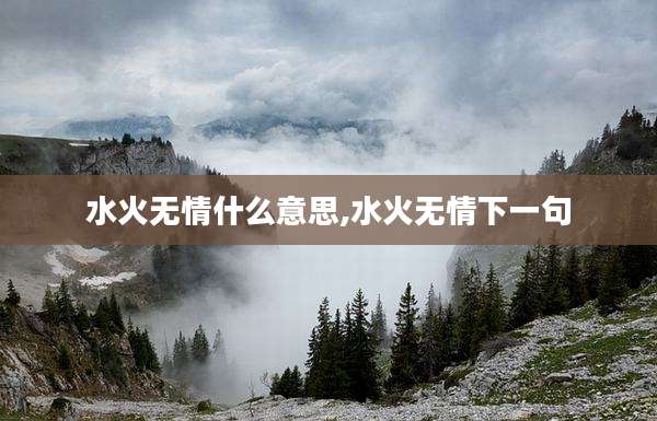 水火无情什么意思,水火无情下一句