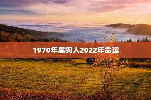 1970年属狗人2022年命运