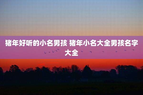 猪年好听的小名男孩 猪年小名大全男孩名字大全