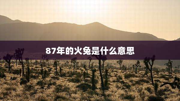 87年的火兔是什么意思