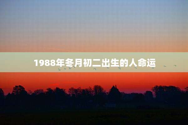 1988年冬月初二出生的人命运