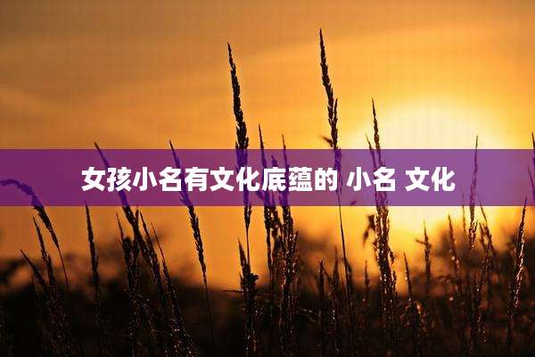 女孩小名有文化底蕴的 小名 文化