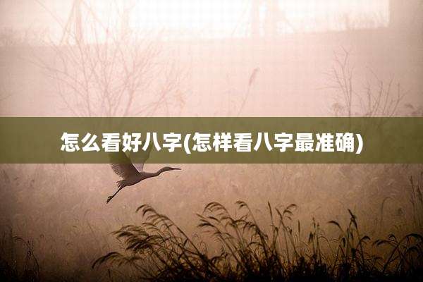 怎么看好八字(怎样看八字最准确)