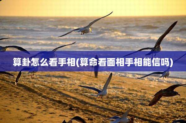 算卦怎么看手相(算命看面相手相能信吗)