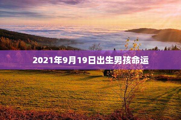 2021年9月19日出生男孩命运