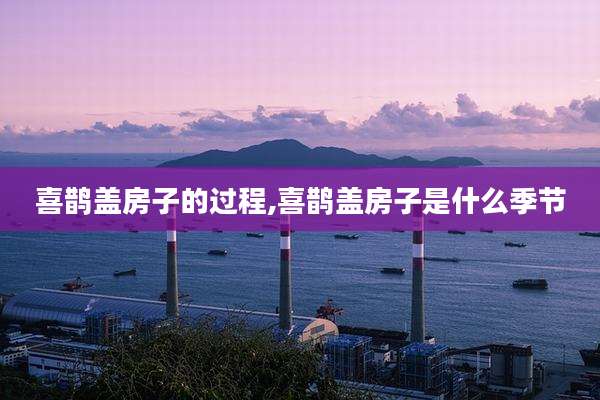 喜鹊盖房子的过程,喜鹊盖房子是什么季节
