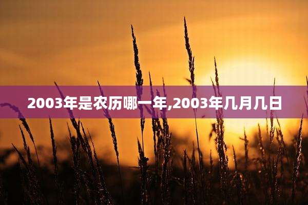 2003年是农历哪一年,2003年几月几日