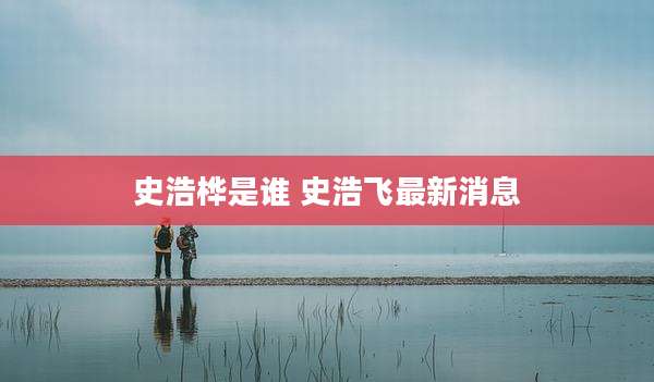 史浩桦是谁 史浩飞最新消息