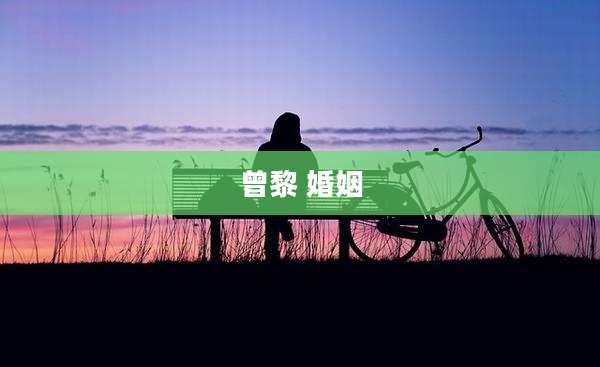 曾黎 婚姻