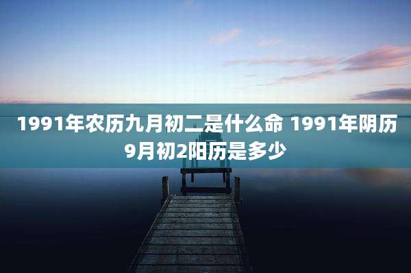 1991年农历九月初二是什么命 1991年阴历9月初2阳历是多少