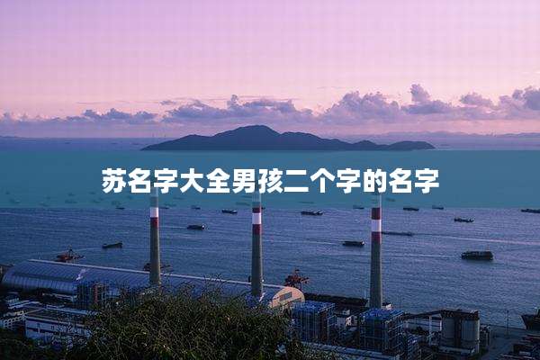 苏名字大全男孩二个字的名字