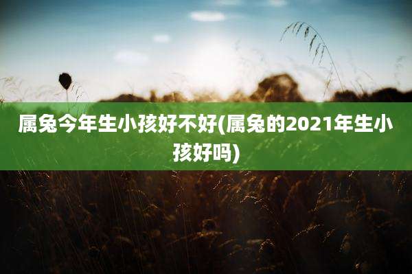 属兔今年生小孩好不好(属兔的2021年生小孩好吗)