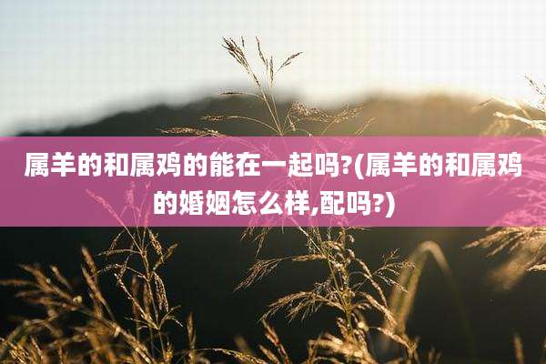 属羊的和属鸡的能在一起吗?(属羊的和属鸡的婚姻怎么样,配吗?)