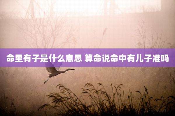 命里有子是什么意思 算命说命中有儿子准吗