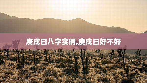 庚戌日八字实例,庚戌日好不好