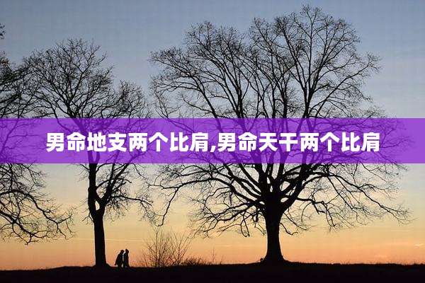 男命地支两个比肩,男命天干两个比肩