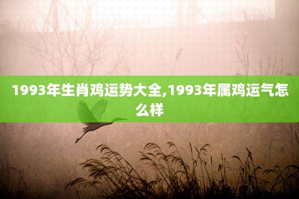 1993年生肖鸡运势大全,1993年属鸡运气怎么样