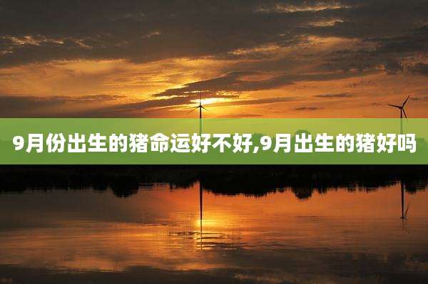 9月份出生的猪命运好不好,9月出生的猪好吗