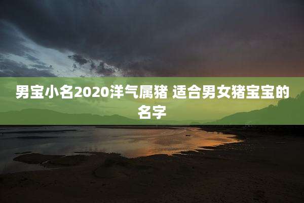 男宝小名2020洋气属猪 适合男女猪宝宝的名字