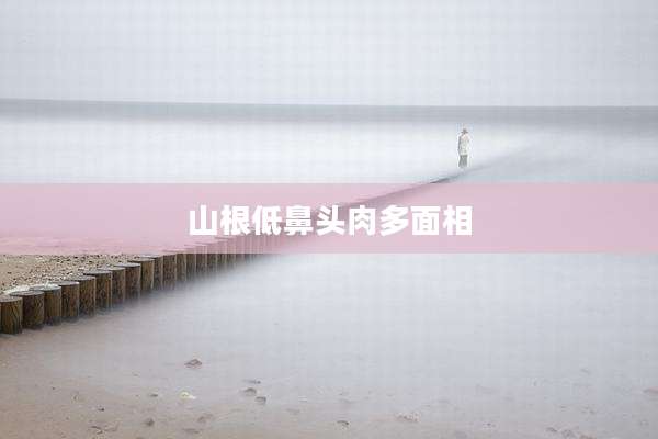 山根低鼻头肉多面相