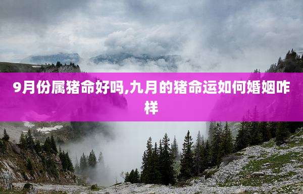 9月份属猪命好吗,九月的猪命运如何婚姻咋样