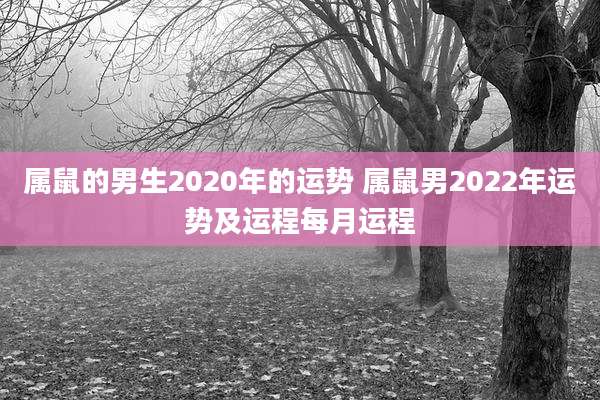 属鼠的男生2020年的运势 属鼠男2022年运势及运程每月运程