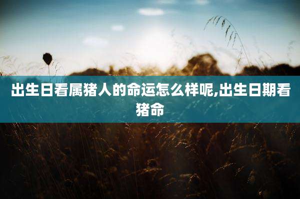 出生日看属猪人的命运怎么样呢,出生日期看猪命