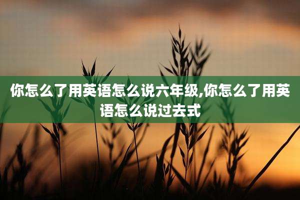你怎么了用英语怎么说六年级,你怎么了用英语怎么说过去式