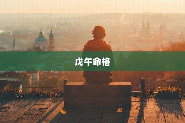戊午命格