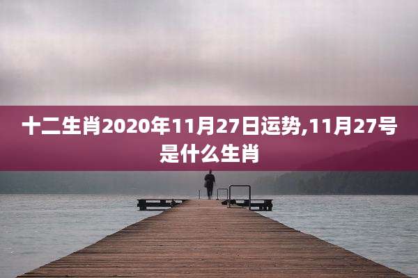 十二生肖2020年11月27日运势,11月27号是什么生肖
