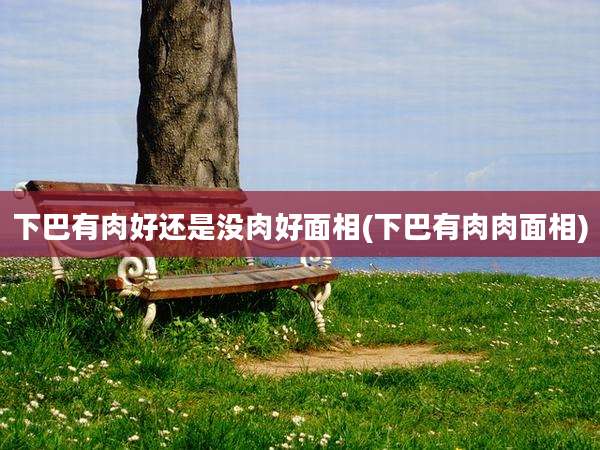 下巴有肉好还是没肉好面相(下巴有肉肉面相)