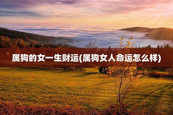 属狗的女一生财运(属狗女人命运怎么样)