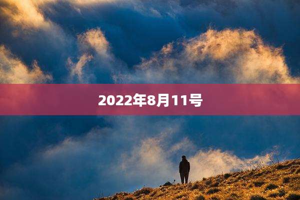 2022年8月11号