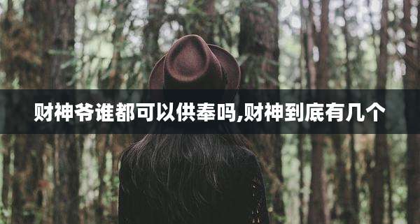 财神爷谁都可以供奉吗,财神到底有几个
