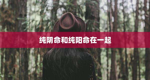 纯阴命和纯阳命在一起
