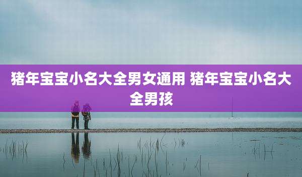 猪年宝宝小名大全男女通用 猪年宝宝小名大全男孩
