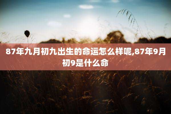 87年九月初九出生的命运怎么样呢,87年9月初9是什么命