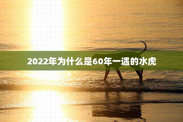 2022年为什么是60年一遇的水虎