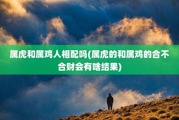 属虎和属鸡人相配吗(属虎的和属鸡的合不合财会有啥结果)