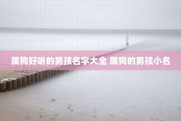 属狗好听的男孩名字大全 属狗的男孩小名