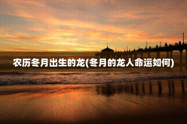 农历冬月出生的龙(冬月的龙人命运如何)