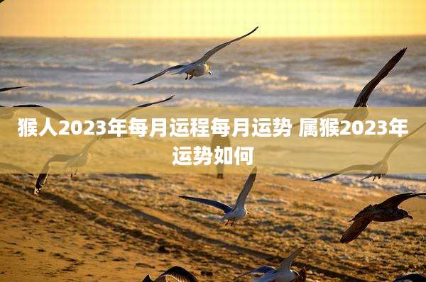猴人2023年每月运程每月运势 属猴2023年运势如何