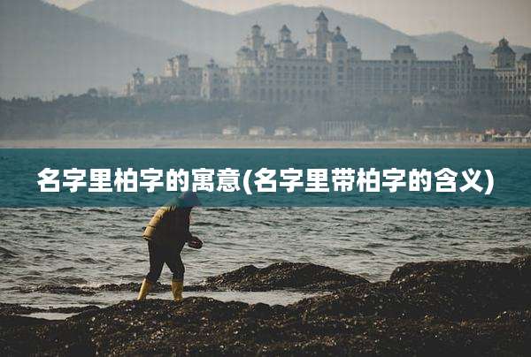 名字里柏字的寓意(名字里带柏字的含义)