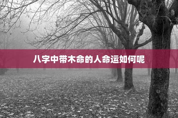 八字中带木命的人命运如何呢