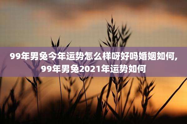 99年男兔今年运势怎么样呀好吗婚姻如何,99年男兔2021年运势如何