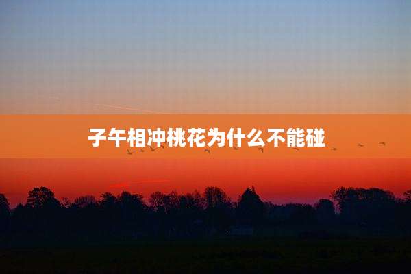 子午相冲桃花为什么不能碰