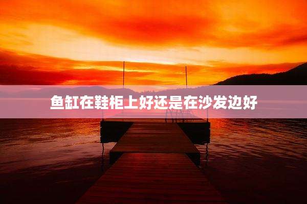鱼缸在鞋柜上好还是在沙发边好