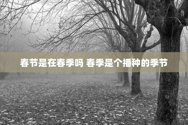 春节是在春季吗 春季是个播种的季节